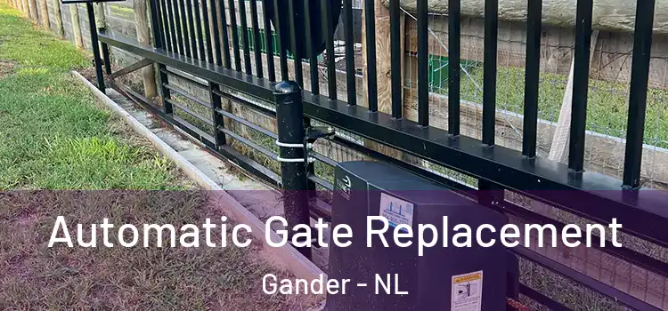  Automatic Gate Replacement Gander - NL