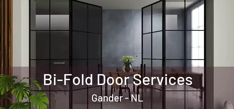 Bi-Fold Door Services Gander - NL