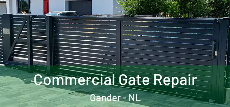 Commercial Gate Repair Gander - NL