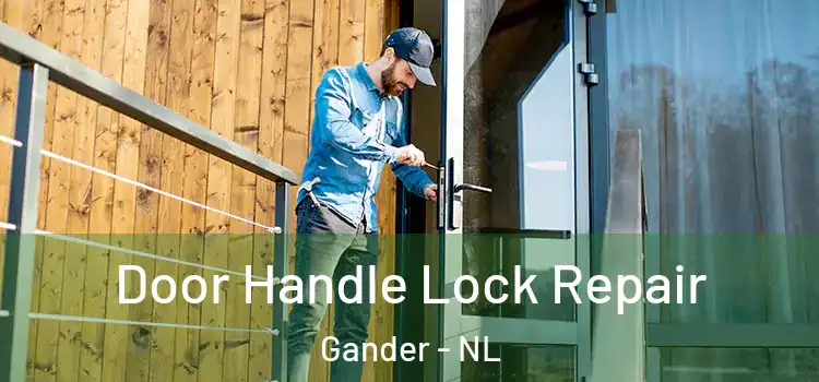Door Handle Lock Repair Gander - NL