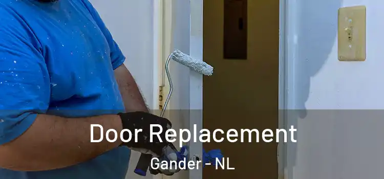 Door Replacement Gander - NL