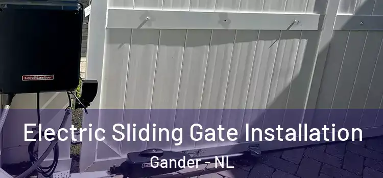 Electric Sliding Gate Installation Gander - NL
