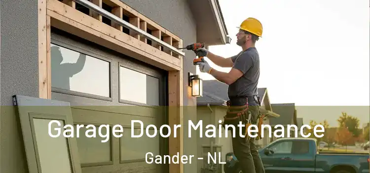 Garage Door Maintenance Gander - NL