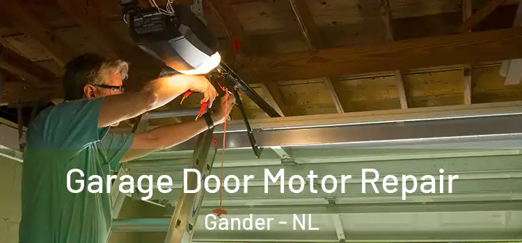  Garage Door Motor Repair Gander - NL