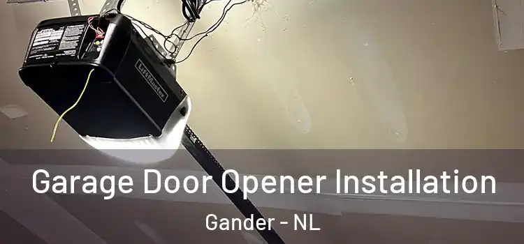  Garage Door Opener Installation Gander - NL