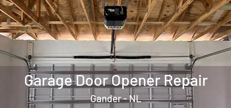  Garage Door Opener Repair Gander - NL