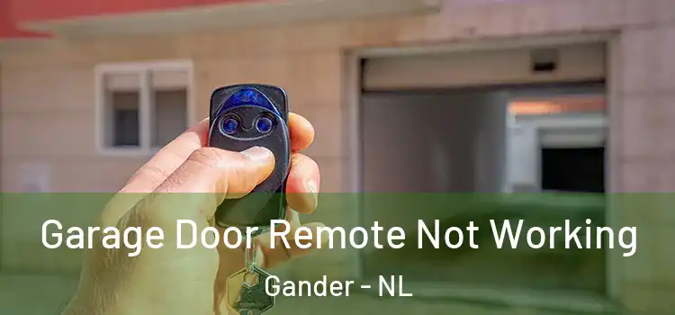  Garage Door Remote Not Working Gander - NL