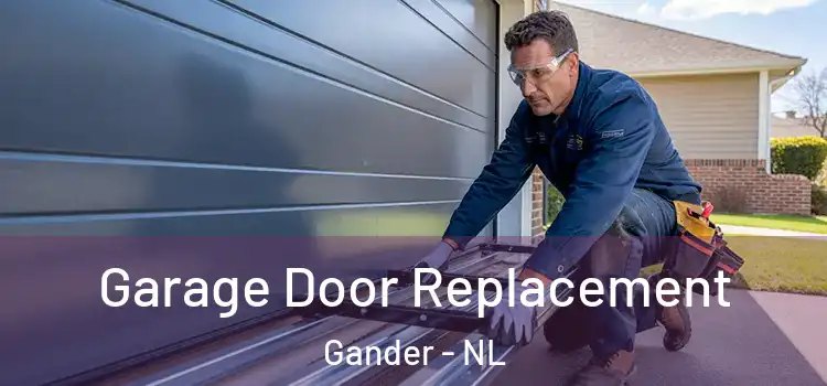  Garage Door Replacement Gander - NL