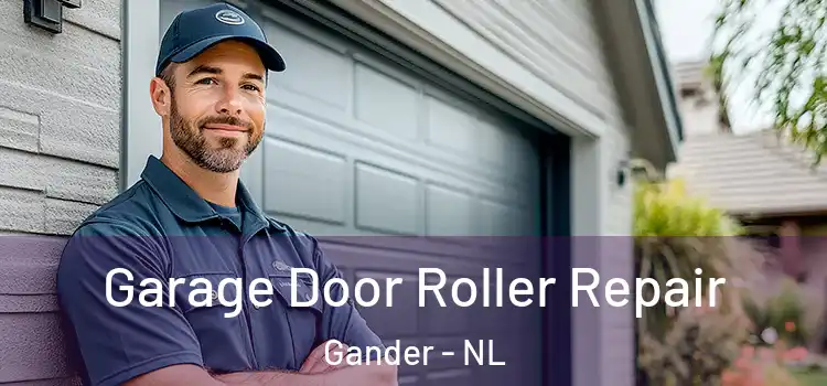  Garage Door Roller Repair Gander - NL