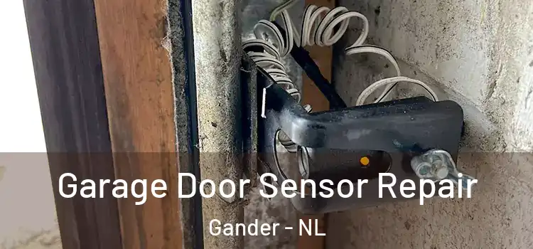 Garage Door Sensor Repair Gander - NL