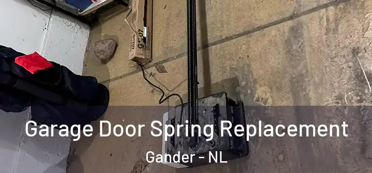  Garage Door Spring Replacement Gander - NL