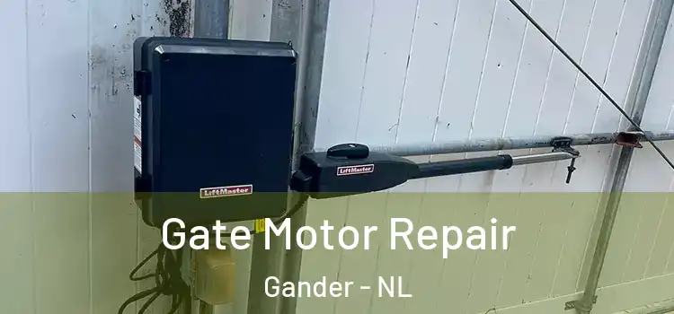  Gate Motor Repair Gander - NL