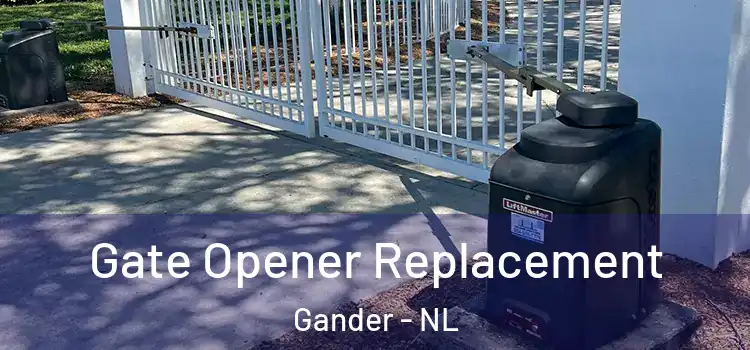 Gate Opener Replacement Gander - NL