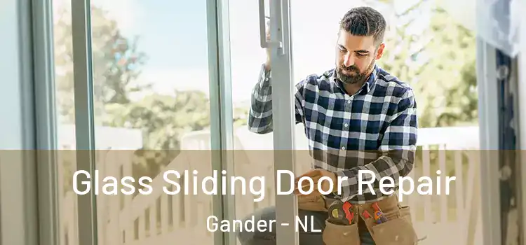 Glass Sliding Door Repair Gander - NL