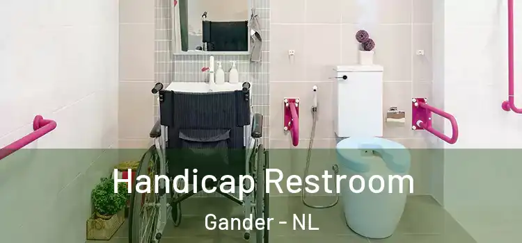 Handicap Restroom Gander - NL
