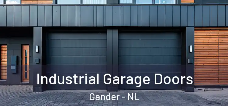  Industrial Garage Doors Gander - NL