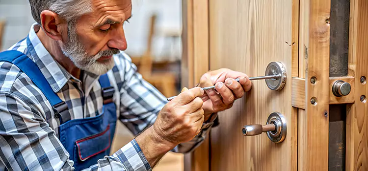 Mortise Replacement Lock Gander