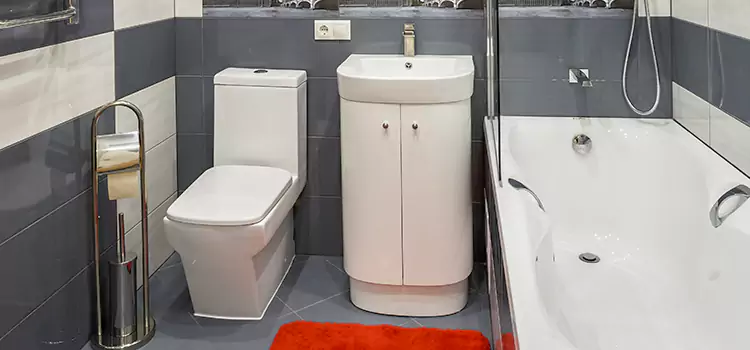 Hansgrohe Shaving Mirror Gander