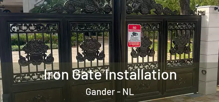 Iron Gate Installation Gander - NL