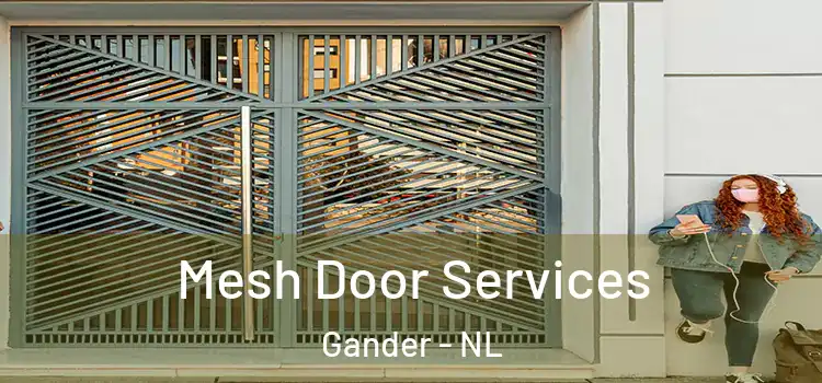  Mesh Door Services Gander - NL