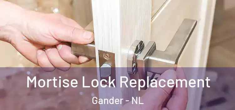 Mortise Lock Replacement Gander - NL