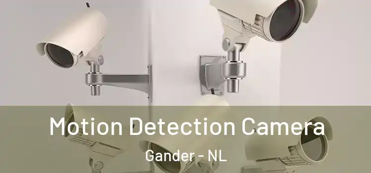  Motion Detection Camera Gander - NL