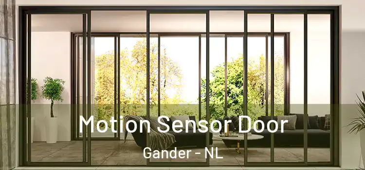 Motion Sensor Door Gander - NL