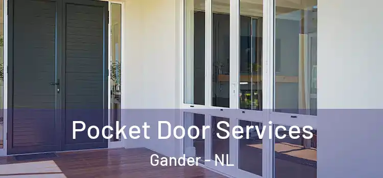 Pocket Door Services Gander - NL