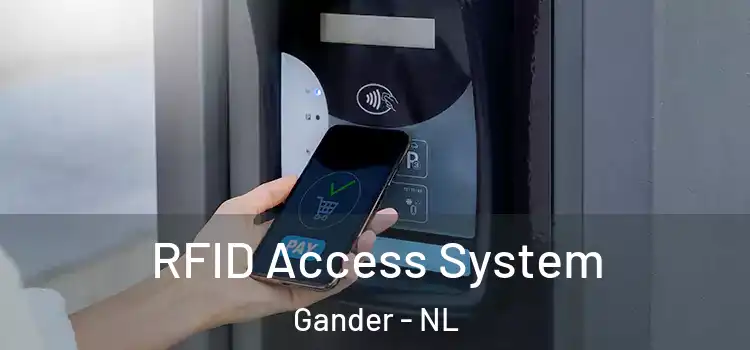  RFID Access System Gander - NL