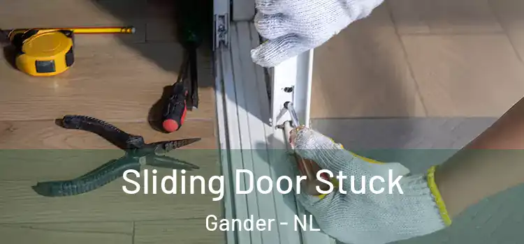 Sliding Door Stuck Gander - NL