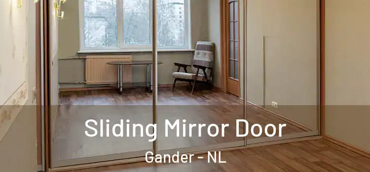  Sliding Mirror Door Gander - NL