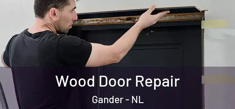 Wood Door Repair Gander - NL